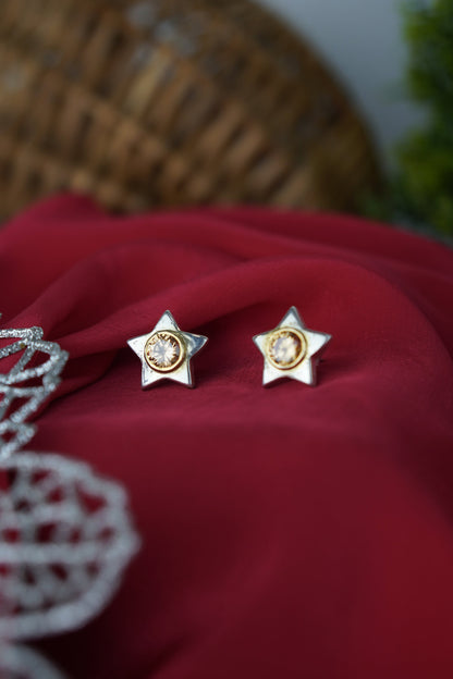 SITARA (सितारा)