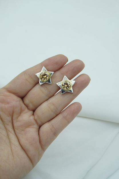 SITARA (सितारा)