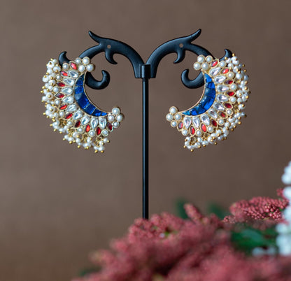 CHANDRIKA (चंद्रिका)